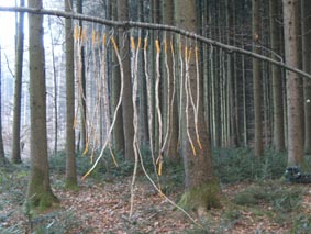 Poetischer Ort Klangbogen